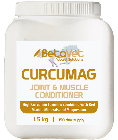 CURCUMAG JOINT AND MUSCLE CONDITIONER