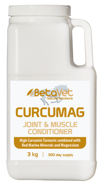 CURCUMAG JOINT AND MUSCLE CONDITIONER
