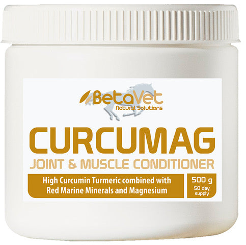 CURCUMAG JOINT AND MUSCLE CONDITIONER